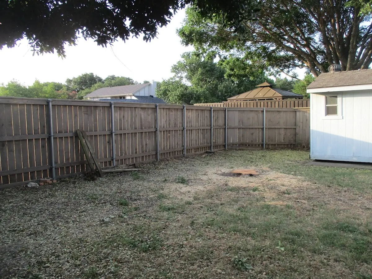 Cleared yard after professional tree removal in Saint Michaels